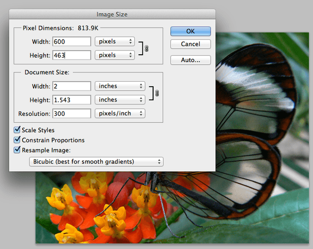 HD Web what is the proper resolution to use in photoshop?